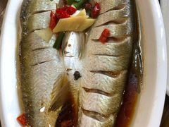 清蒸白水鱼-老马家·舌尖上的西塘美食