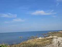 -养马岛旅游度假区
