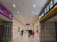 -华润深圳湾体育中心-“春茧” 体育馆