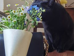 -春风十里咖啡馆