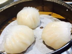 -糖朝(尖沙咀店)