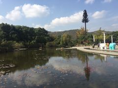-白马涧龙池景区