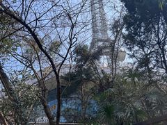 -大蜀山国家森林公园