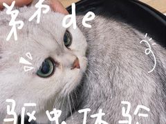 -谐和贝康宠物医院24小时·宠保定点(急重症转诊中心)