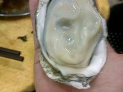 -蚝专家(北滘店)