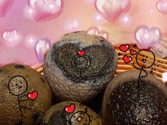 -新辣道鱼火锅(世纪金源购物中心店)