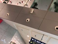 -合肥新桥国际机场-航站楼
