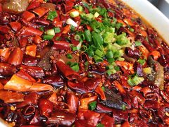 -陈麻婆豆腐总店