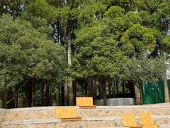 -玉苍山国家森林公园