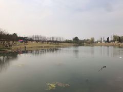 -两河城市森林公园