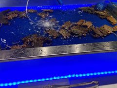 水产区-SEA西雅图海鲜自助餐厅(正义店)