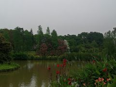 -海珠湖公园