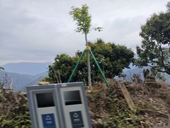 -广州市石门国家森林公园
