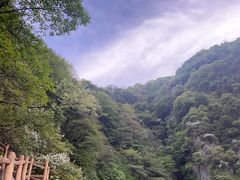 -西安祥峪森林公园