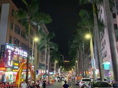 -先记烧鹅王·本地粤菜(福永店)