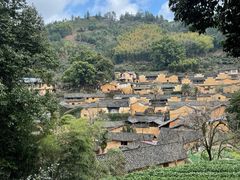 -杨家堂村