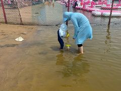 -碧海金沙