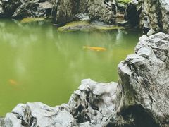 -陆家嘴中心绿地