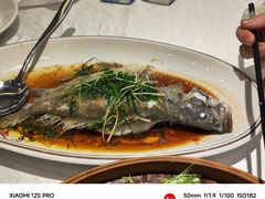 清蒸桂花鱼-顺德佬(石厦店)