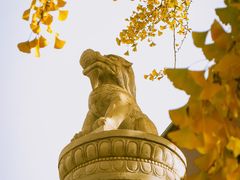 -北京石刻艺术博物馆(五塔寺)