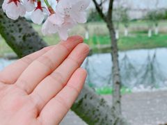 -长田漾湿地公园