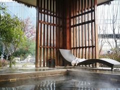 -中家鑫园温泉酒店鑫悦汤泉