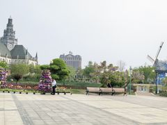 -荷兰花海
