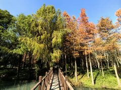 -尚贤河湿地