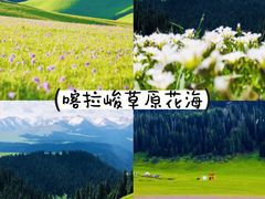 -伊犁河风景区
