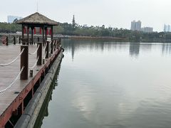 -海珠湖公园