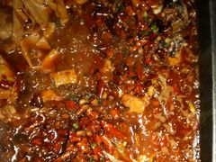 香辣味烤鱼-青炉里青花椒鲜活烤鱼(理工大店)