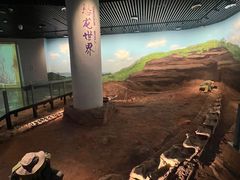 -重庆自然博物馆(新馆)