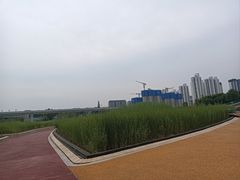 -西安浐灞国家湿地公园