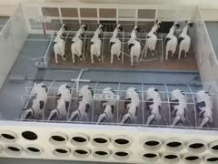 -君乐宝优致牧场