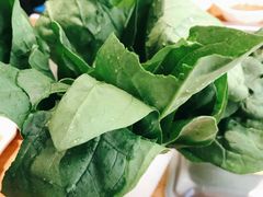 -草原塞蛮羊火锅城(港湾店)