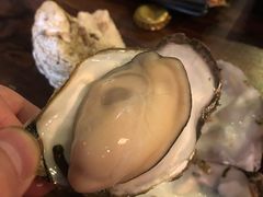 -土蚝·高压锅生蚝(百姓美食街店)