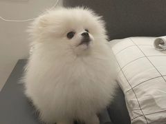 -comecome来吧宠物(奥克斯中心店)