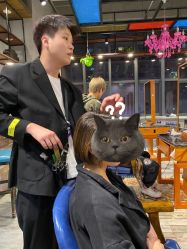 -东尚style造型