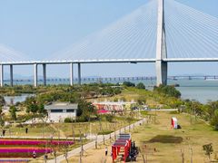 -芒洲湿地公园