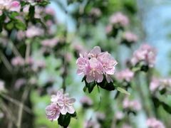 -上海滨江森林公园