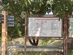 -北京鹫峰国家森林公园