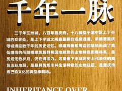 -重庆十八梯传统风貌区