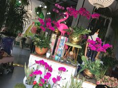 -弗劳尔花艺坊(龙涛店)