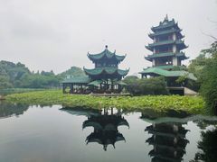 -桂湖森林公园