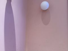 -小杨生煎(周浦万达店)