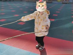 -华杉幼儿园(通州校区)
