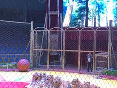 -西安秦岭野生动物园