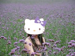 -紫海香堤香草艺术庄园