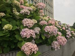 -江南大学(蠡湖校区)