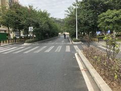 -飞凤山奥体公园